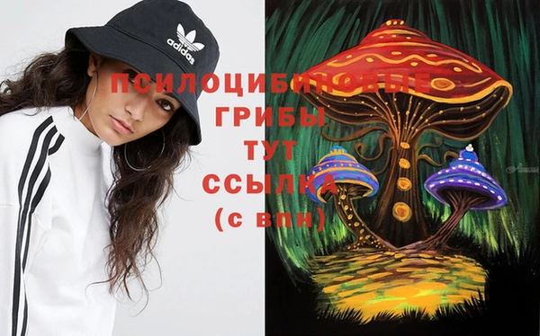меф Вяземский