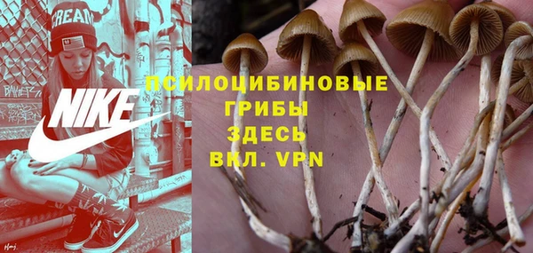 mdpv Вязьма