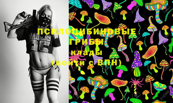 дживик Магас