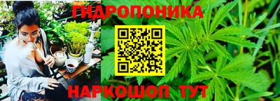 бошки Балашиха